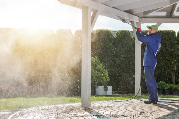 Best Driveway Cleaning and Restoration in Moorefield, WV