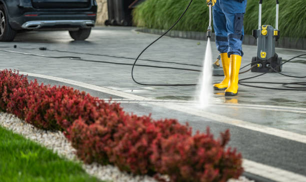 Best Fence Cleaning and Maintenance in Moorefield, WV